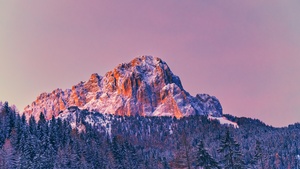 Mountain, Peak, Sunrise, Forest, Winter, Cold, 4K wallpaper