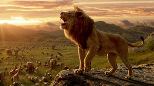The Lion King, Lion, 2019 Movies, Movies, Disney, , , 4K wallpaper
