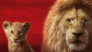 The Lion King, Lion, 2019 Movies, Movies, Disney, Simba, 4K wallpaper