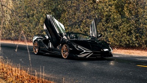 Lamborghini Sián Roadster, Black cars, Hybrid sports car, Tarmac, 4K wallpaper