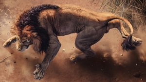 Lion, Animals, 4K wallpaper