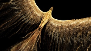 Fire bird, Honor, Stock, Black background, 4K wallpaper