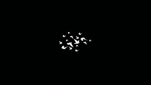 Birds, Dark, Minimalism, Black, Artist, 4K wallpaper