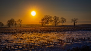 Field, Sunrise, Sunset, Nature, 4K wallpaper
