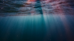Underwater, Photography, 4K wallpaper
