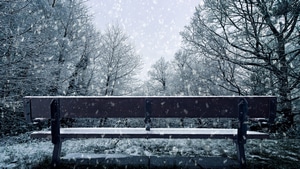 Snowfall, Nature, 4K wallpaper