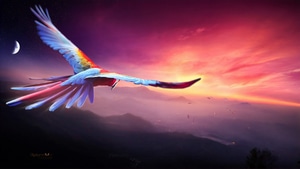 Macaw, Parrot, Birds, Artist, Artwork, Digital Art, Deviantart, 4K wallpaper