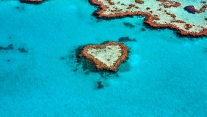 Love heart, Coral reef, Australia, Tourist attraction, Aerial Photography, 4K wallpaper