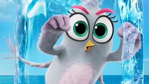The Angry Birds 2, The Angry Birds Movie 2, Movies, Angry Birds, 2019 Movies, 4K wallpaper