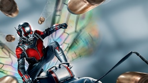 Ant Man, Movies, 4K wallpaper