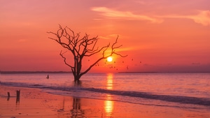 Sunset, Sunrise, Morning, Evening, Nature, 4K wallpaper