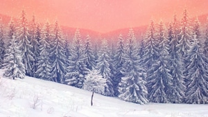 Landscape, Snow, Trees, Nature, 4K wallpaper
