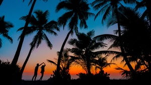 Couple, Tropical beach, Romantic, Sunset, Twilight, Palm trees, Maldives, 4K wallpaper