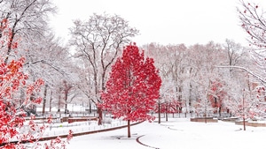 Winter, Nature, Autumn, 4K wallpaper