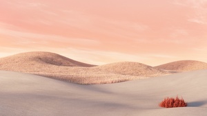 Desert, Aesthetic, Landscape, Microsoft Surface Laptop, Pink sky, Stock, Summer, 4K wallpaper