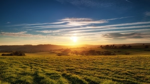 Sunset, Field, Nature, 4K wallpaper