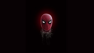 Spiderman, Superheroes, Artist, Artwork, Digital Art, Behance, 4K wallpaper