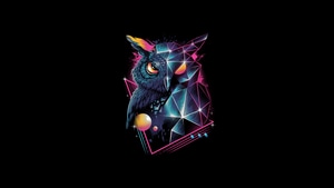 Owl, Artist, Artwork, Black, Dark, Oled, 4K wallpaper
