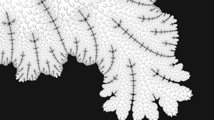 Abstract, Leaf, Black And White, Behance, 4K wallpaper