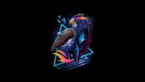 Hawk, Artist, Artwork, Black, Dark, Oled, 4K wallpaper