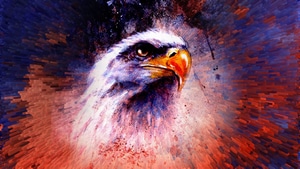 Eagle, Abstract, Artist, Artwork, Digital Art, 4K wallpaper