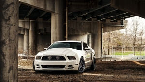 Ford Mustang, Shelby, Ford, 2019 Cars, Cars, 4K wallpaper