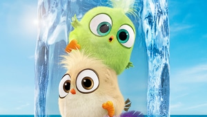 The Angry Birds 2, The Angry Birds Movie 2, Angry Birds, Movies, 2019 Movies, Poster, 4K wallpaper