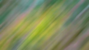 Green, Abstract, Deviantart, 4K wallpaper