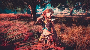 Aloy, Horizon Zero Dawn, Games, Pc Games, Xbox Games, Ps Games, 4K wallpaper