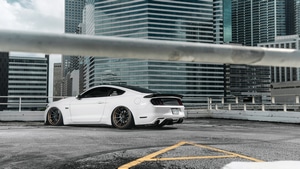 Ford Mustang, Mustang, Cars, 4K wallpaper
