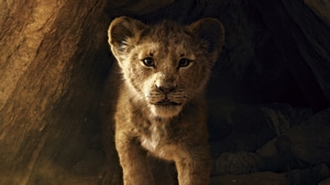 The Lion King, Lion, 2019 Movies, Movies, Disney, Simba, , 4K wallpaper
