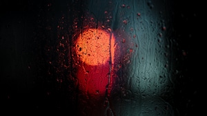 Macro, Drops, Rain, Photography, 4K wallpaper
