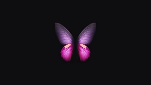 Samsung Galaxy Fold, Butterfly, Samsung, Stock, Original, Artist, Digital Art, Dark, Black, Oled, 4K wallpaper