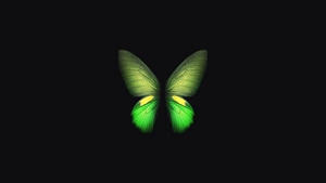 Samsung Galaxy Fold, Butterfly, Samsung, Stock, Original, Artist, Digital Art, Dark, Black, Oled, 4K wallpaper