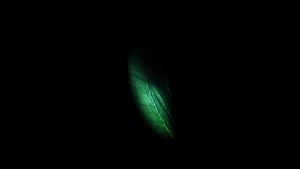 Samsung Galaxy Fold, Butterfly, Samsung, Stock, Original, Artist, Digital Art, Dark, Black, Oled, 4K wallpaper