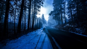 Road, Nature, 4K wallpaper