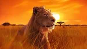 Mufasa, Mufasa: The Lion King, 2024 Movies, 4K wallpaper