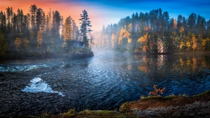 Nature, Trees, Landscape, 4K wallpaper