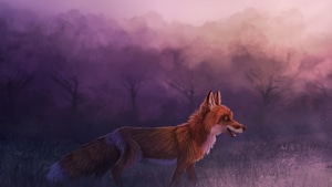Fox, Animals, Deviantart, 4K wallpaper