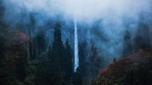 Waterfall, Trees, Nature, 4K wallpaper