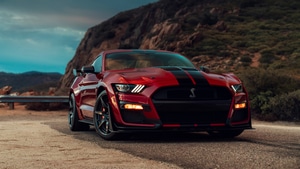 Ford Mustang, Shelby, Ford, 2019 Cars, Cars, 4K wallpaper