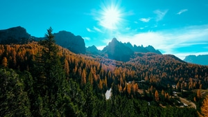 Landscape, Trees, Forest, Nature, 4K wallpaper
