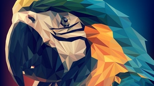 Parrot, Low Poly, Artist, Artwork, Digital Art, 4K wallpaper