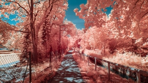 Photography, Behance, Autumn, 4K wallpaper