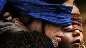 Bird Box, Movies, 2018 Movies, Netflix, 4K wallpaper