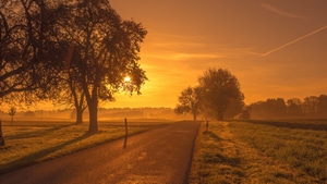 Sunrise, Sunset, Nature, Trees, 4K wallpaper