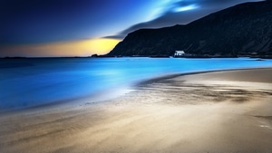 Beach, Nature, 4K wallpaper