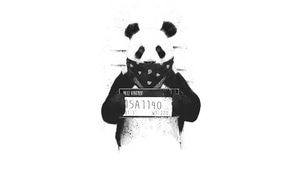 Panda, Artist, Artwork, Digital Art, Monochrome, Black And White, 4K wallpaper
