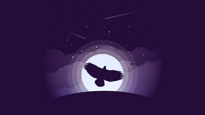 Eagle, Birds, Artist, Artwork, Digital Art, Minimalism, Minimalist, Behance, 4K wallpaper