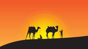 Camel, Artist, Artwork, Digital Art, Silhouette, 4K wallpaper